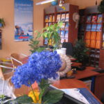 IMG 3436 IMG 3436